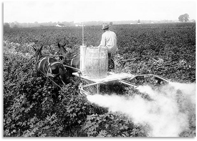 Insecticide Modes of Action on Desert Produce and Melons